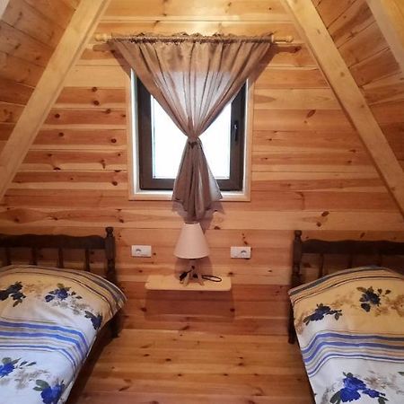 Villa Mountain House Bjanka à Žabljak Extérieur photo