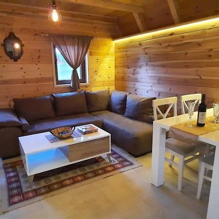 Villa Mountain House Bjanka à Žabljak Extérieur photo