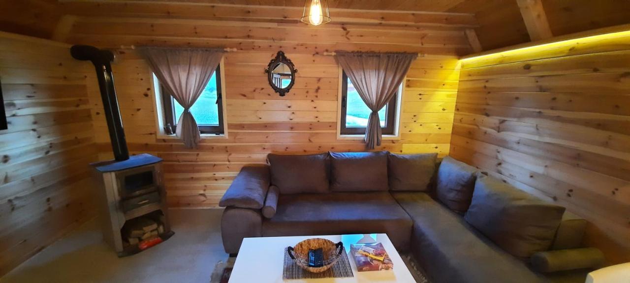 Villa Mountain House Bjanka à Žabljak Extérieur photo