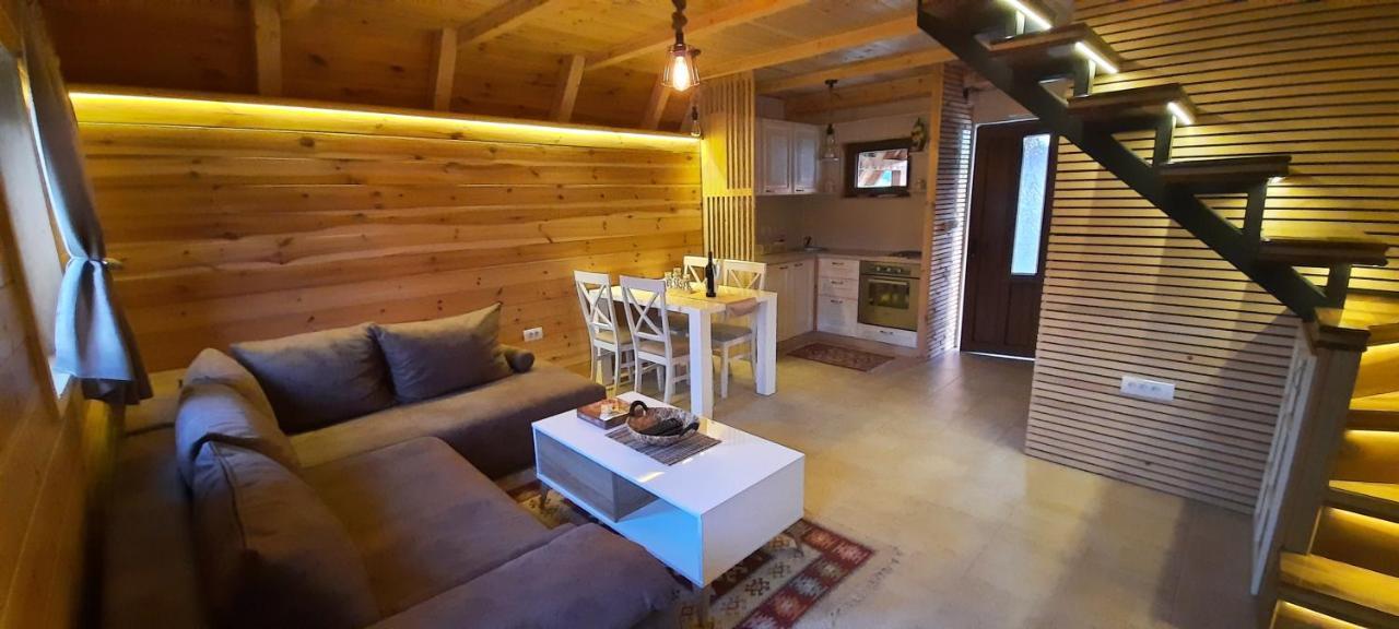 Villa Mountain House Bjanka à Žabljak Extérieur photo